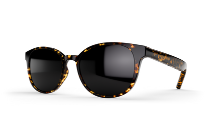 SonaVue HJA Tortoiseshell Audio Premium Glasses