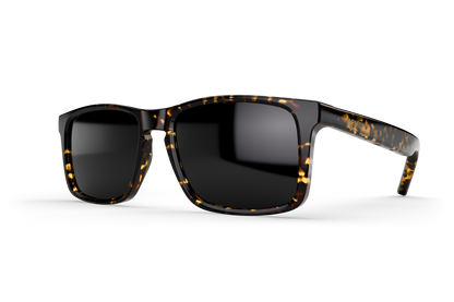 SonaVue HKA Tortoiseshell Premium Audio Glasses