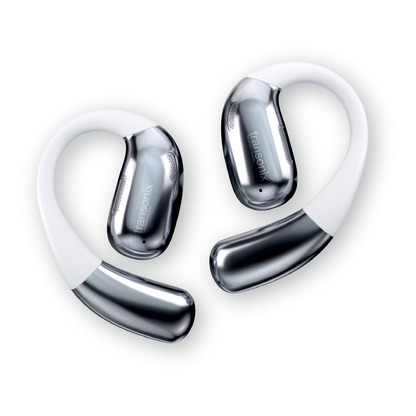 TravelerAI with Charging Case